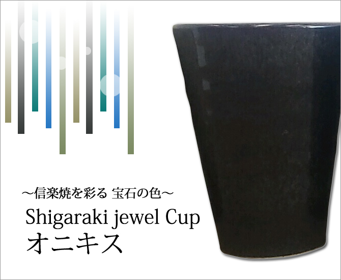 Shigaraki jewel Cup ˥