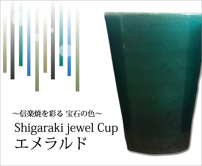 Shigaraki jewel Cup 