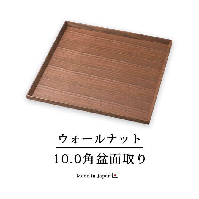 ʥå10.0̼