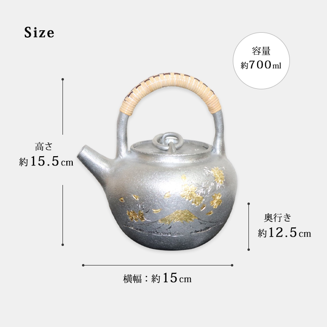 ��ʸŴˤ�� Ħ���ٻκ� HS002