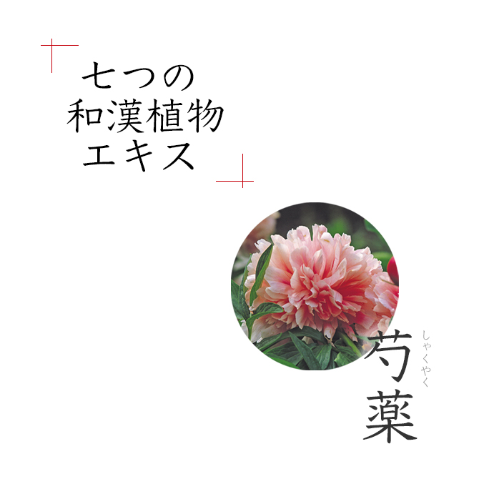 𼶥륤󥸥