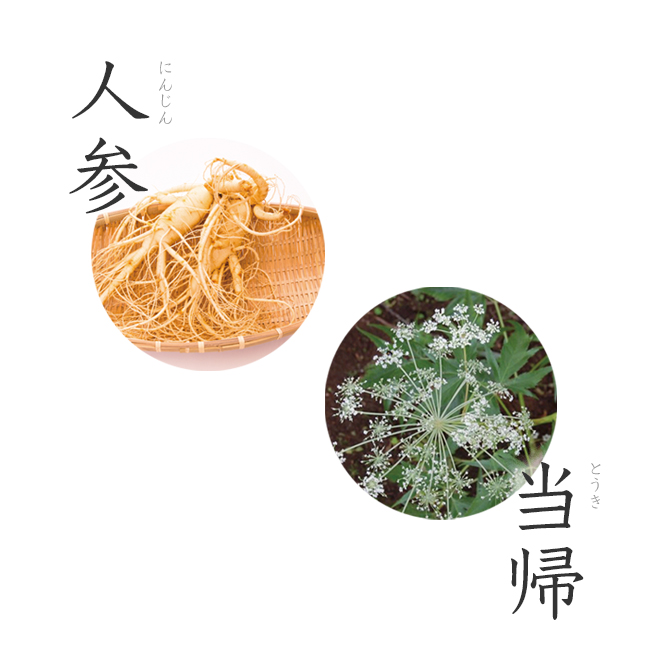 𼶥륤󥸥