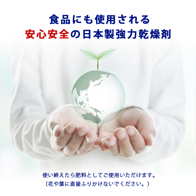 ���������硡���꡼��ɥ饤