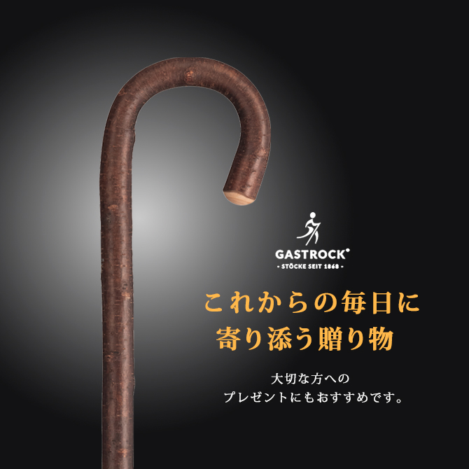 �����ȥ��å� GA-2