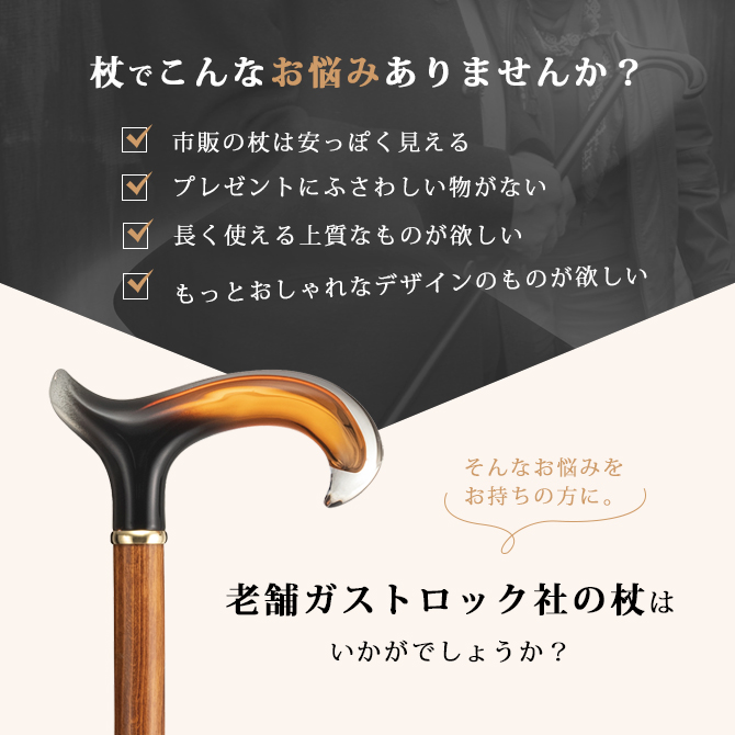 ガストロック GA-30