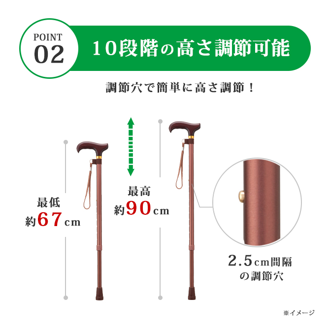 愛杖 Dシリーズ 伸縮タイプ