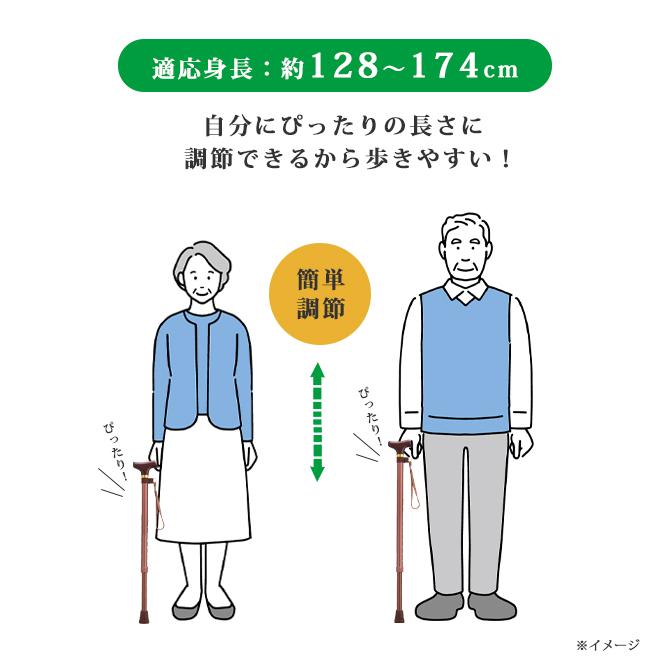 愛杖 Dシリーズ 伸縮タイプ