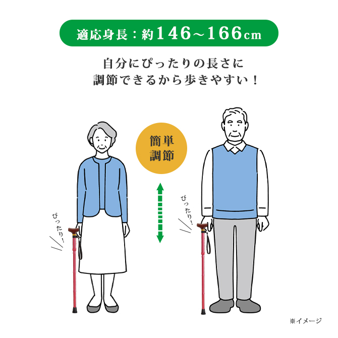 愛杖 Dシリーズ 折りたたみタイプ