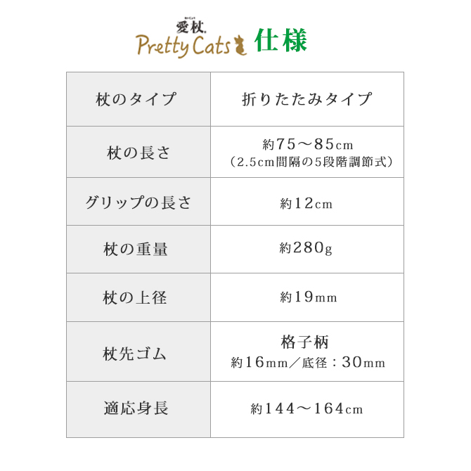 ���� �ץ�ƥ�����å�