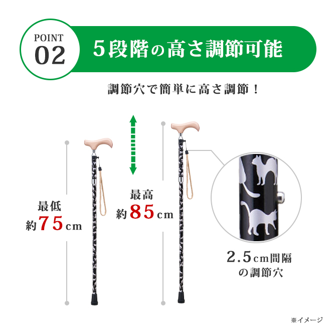 ���� �ץ�ƥ�����å�