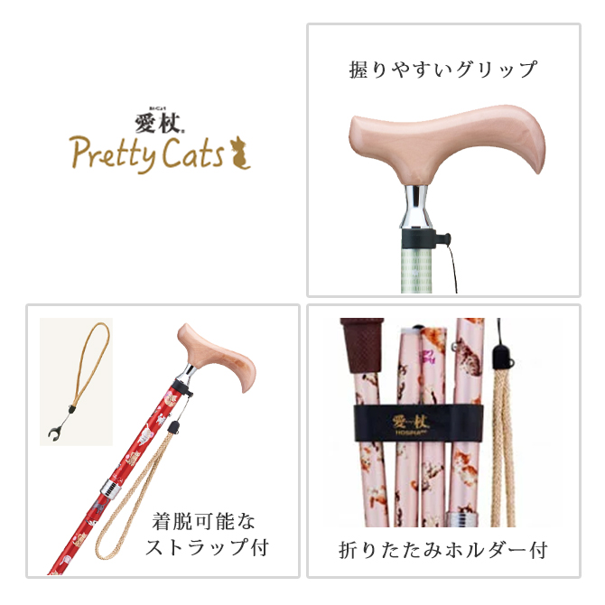 ���� �ץ�ƥ�����å�